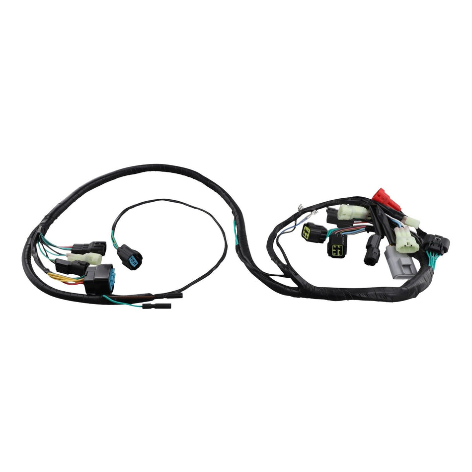 Main Electrical Harness - for Honda - OEM 32100-HP1-000 | Eurowagens - View 3