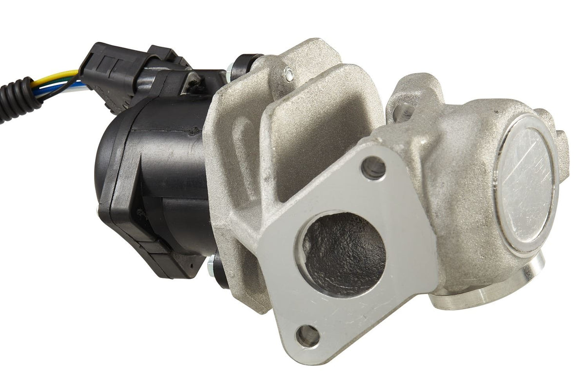 Hella EGR Valve for Volvo & Ford, OEM quality, OEM 1353152, MPN 6NU 010 171-781