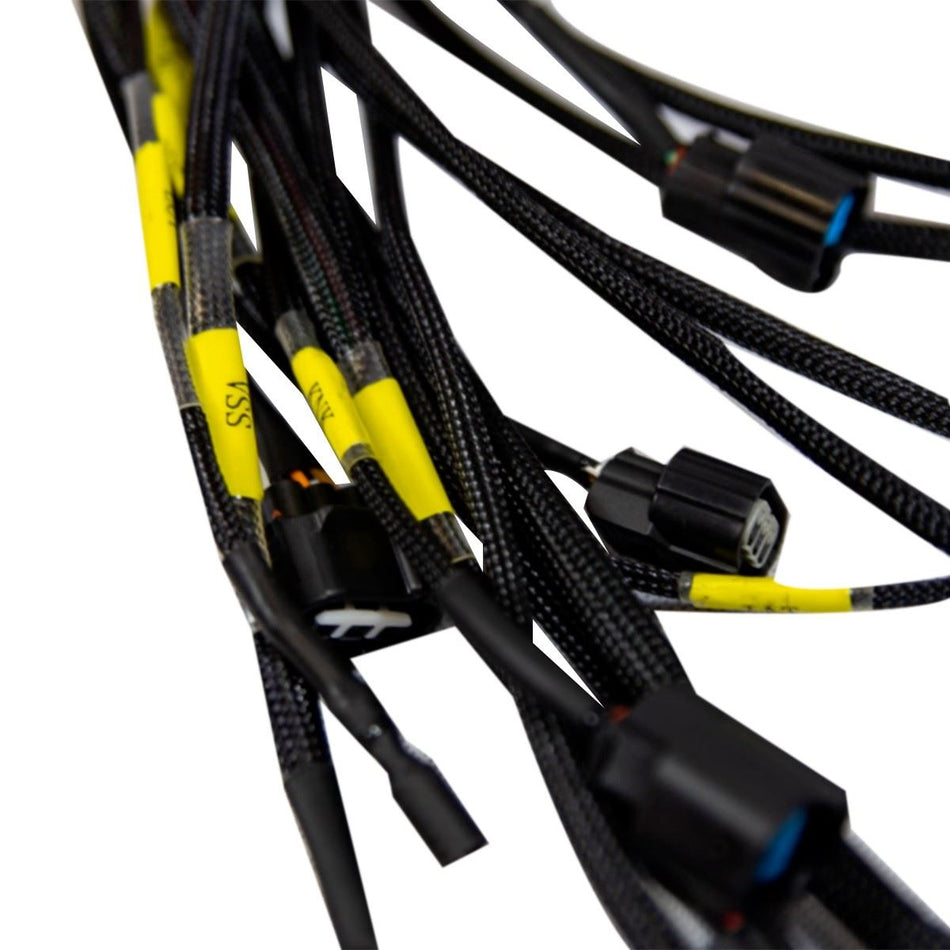 K-Series Engine Wiring Harness | Eurowagens - View 2