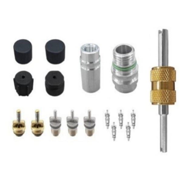 Air Conditioning Valve Core and Cap - for Buick | Eurowagens - View 4