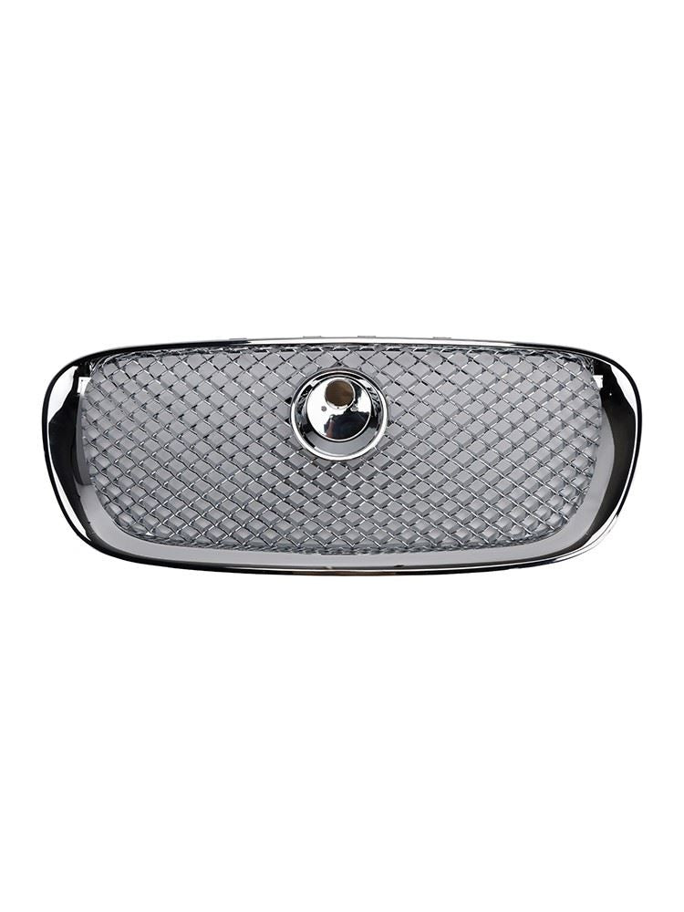 Bumper Grille Front - for Jaguar | Eurowagens - View 2