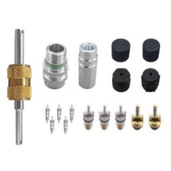 Air Conditioning Valve Core and Cap - for Buick | Eurowagens - View 2