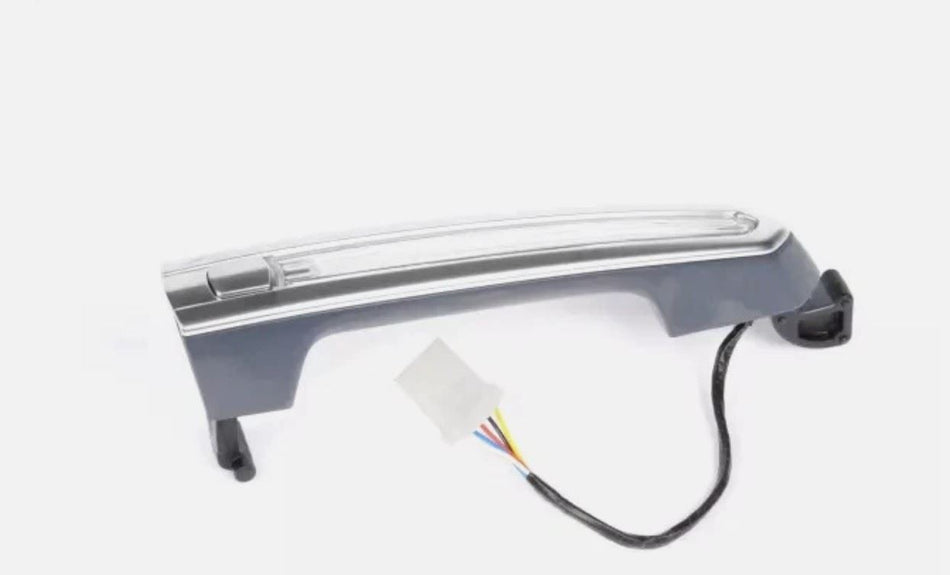 Exterior Door Handle - for Cadillac - OEM 13592156 | Eurowagens