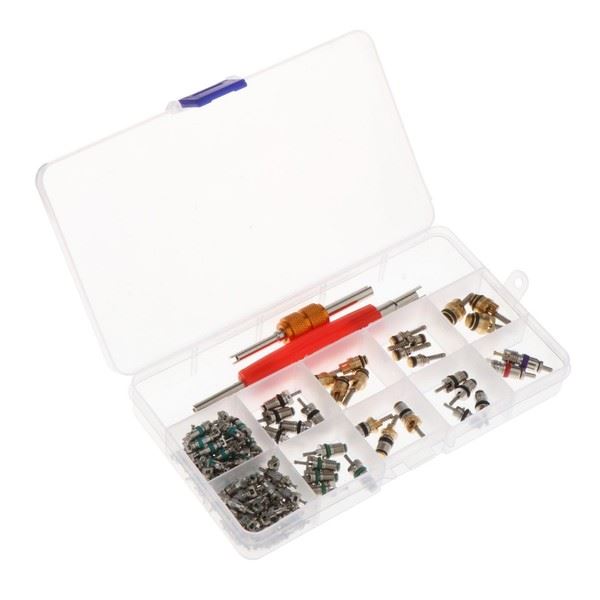Air Conditioning Valve Core Set | Eurowagens