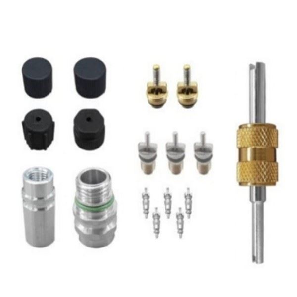 Air Conditioning Valve Core and Cap - for Buick | Eurowagens - View 3