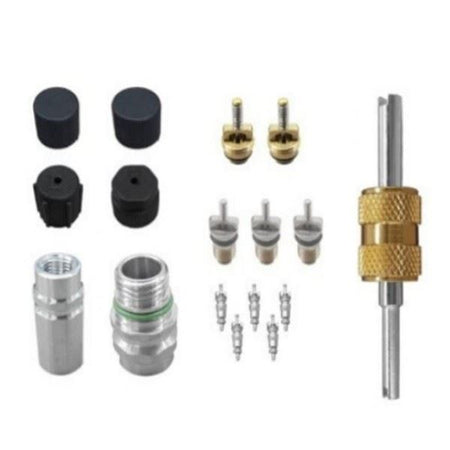 Air Conditioning Valve Core and Cap - for Buick | Eurowagens - View 3