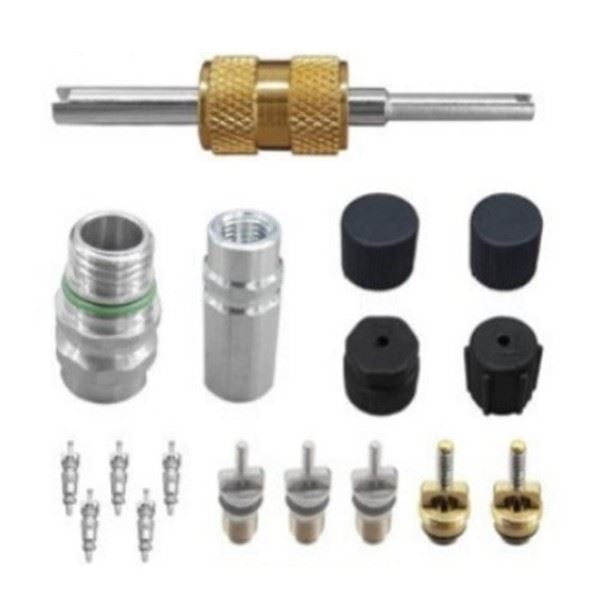 Air Conditioning Valve Core and Cap - for Buick | Eurowagens