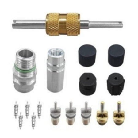 Air Conditioning Valve Core and Cap - for Buick | Eurowagens